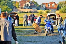 livestock market_3